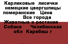 Карликовые “лисички“  немецкие цвергшпицы/померанские › Цена ­ 35 000 - Все города Животные и растения » Собаки   . Челябинская обл.,Карабаш г.
